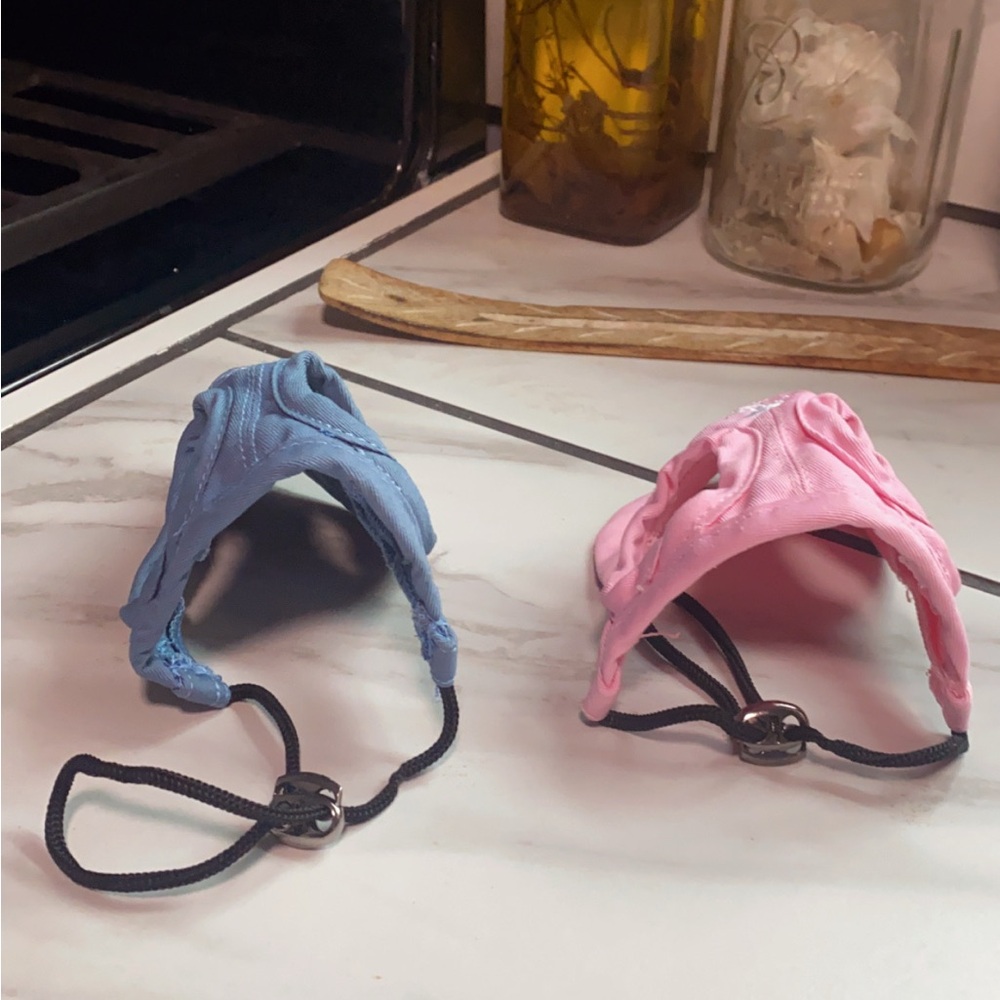 Tail Up Blue and Pink Dog Visor Caps - Picture 2 of 2